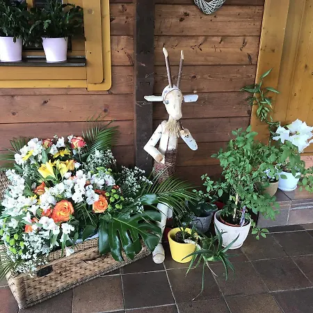 Guest house Wellness Haltmar 3*